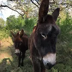 Bed & Breakfast Des 3 Anes Blars