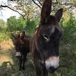 Des 3 Anes Bed & Breakfast 4*